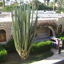 ���� ������, �����-���������, 54 ���� - ��������� 26 ������ 2013 � ������ ���� ����������