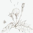 �������� �� ������ - ��������.. �� ������� ���� ������� ...�