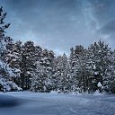 ���� �������, ���������, 65 ��� - ��������� 10 ������� 2013