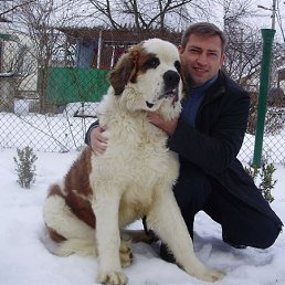 ���� Vasiliy, �������, 44 ���� - ��������� 15 ���� 2012