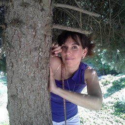 , 50, 