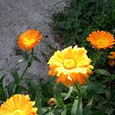 ���� ������, ������������ - ��������� 11 ������ 2012 � ������ �������