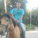 ���� ����, ����������, 44 ���� - ��������� 17 ���� 2013 � ������ ���� ����������