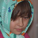 ���� ����, ��������� - ��������� 5 ������ 2011