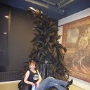 ���� �������, ���������, 49 ��� - ��������� 7 ���� 2013 � ������ ������ 2013�