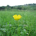 ���� ������, ������ - ��������� 25 ��� 2012 � ������ ���� ����������