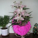 ���� ��������, ���������� ����� - ��������� 30 ����� 2010 � ������ ������ �� ����