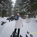 ���� �������, ���������, 56 ��� - ��������� 23 ��� 2013 � ������ ���� ����������