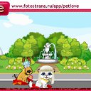  , , 42  -  28  2010   PetLove