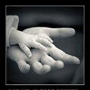 ���� ������, �����������, 73 ���� - ��������� 15 ������� 2012