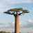 Baobab, , 30  -  19  2010