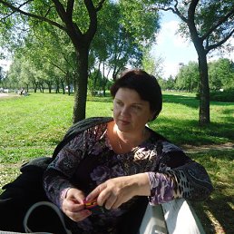 ����, �����-���������, 58 ���