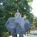 ���� ��������, ������-��-����, 45 ��� - ��������� 22 ����� 2012