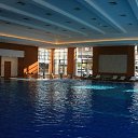  ok, --, 44  -  20  2012    2011 ()