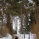 ���� ��������, ������, 52 ���� - ��������� 13 ����� 2012 � ������ ���� ����������