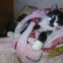   ,  -  26  2013        =)