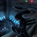  Xenomorph, , 53  -  2  2011   