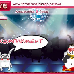 ���� ����, ������, 24 ���� - ��������� 29 ������� 2010