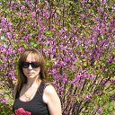 ���� �������, ������-��-����, 53 ���� - ��������� 15 ��� 2012 � ������ ������ �� ������� ��������� �� ������������� ����������