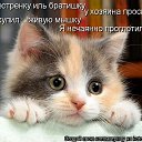 ���� Alenka, ��������������, 49 ��� - ��������� 30 ��� 2010