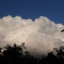 ���� �������, �����-��������� - ��������� 4 ������ 2010 � ������ ��������