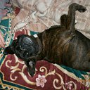  Lina, , 41  -  22  2012   Moi maljchiki