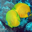 ���� Mr_h, �������, 47 ��� - ��������� 20 �������� 2012 � ������ �������� � ������� ������� �����