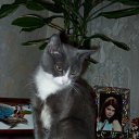 ���� ���������, ������, 61 ��� - ��������� 24 ������ 2012 � ������ ���� ����������