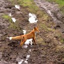 ���� ���������, �������������-����������, 53 ���� - ��������� 28 ������ 2013 � ������ ���� ����������