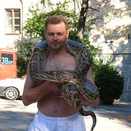 ���� ������, ������, 54 ���� - ��������� 20 ���� 2013