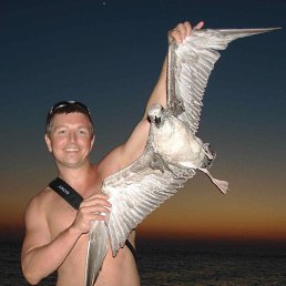 ����, ���������, 48 ���