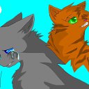 ���� ������, �����, 27 ��� - ��������� 14 ������ 2012 � ������ ���� ����������