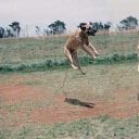 ���� ��������, �����-���������, 58 ��� - ��������� 20 ������ 2010 � ������ �������