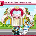  ,  -  8  2010   PetLove