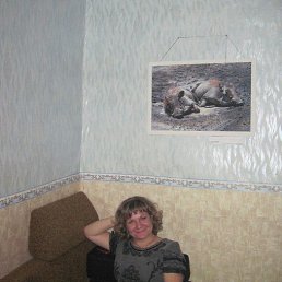 , , 50 
