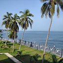 ���� Fox, �����������, 44 ���� - ��������� 4 �������� 2012 � ������ ��������