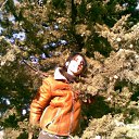 ���� Iako --, ������� - ��������� 1 ������ 2012 � ������ ���� ����������