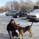 ���� ������, �����-���������, 53 ���� - ��������� 28 ����� 2013