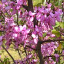 ���� �������, ������-��-����, 53 ���� - ��������� 15 ��� 2012 � ������ ������ �� ������� ��������� �� ������������� ����������