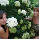  , -, 51  -  29  2012     )