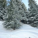 ���� ������, ������, 66 ��� - ��������� 7 ������� 2012 � ������ ���� ����������