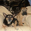 ���� ����, �������, 44 ���� - ��������� 21 ������ 2011 � ������ ���� ��������