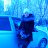 ���� �����, ������, 44 ���� - ��������� 6 ������ 2012