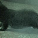 ���� ���������, ������ ��������, 46 ��� - ��������� 28 ������ 2009 � ������ ���� ��������: ������ � �����