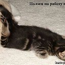 ���� �����, ����������, 60 ��� - ��������� 31 ������� 2010 � ������ �������