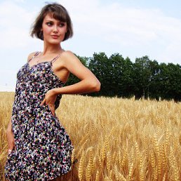 ���� ���, ������, 33 ���� - ��������� 23 ���� 2013