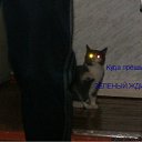 ���� Irisk@, ������ - ��������� 22 ���� 2011 � ������ �������