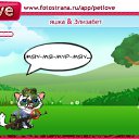  , , 37  -  14  2010   PetLove