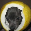 ���� Lana, ������ - ��������� 28 ��� 2011 � ������ �������