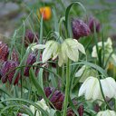 ���� ������, ������, 63 ���� - ��������� 5 ������� 2011 � ������ ������-���� �����....�